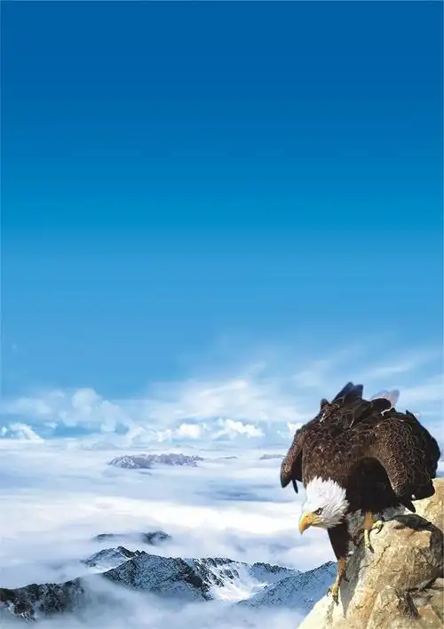 国际教育专业就业方向及前景